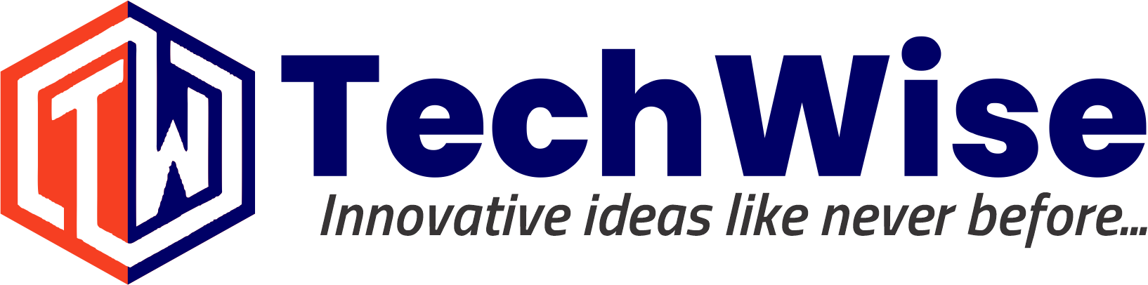 Techwise logo